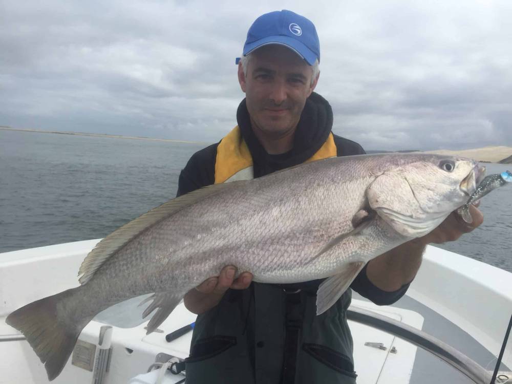 pêche au bar à Bassin d’Arcachon