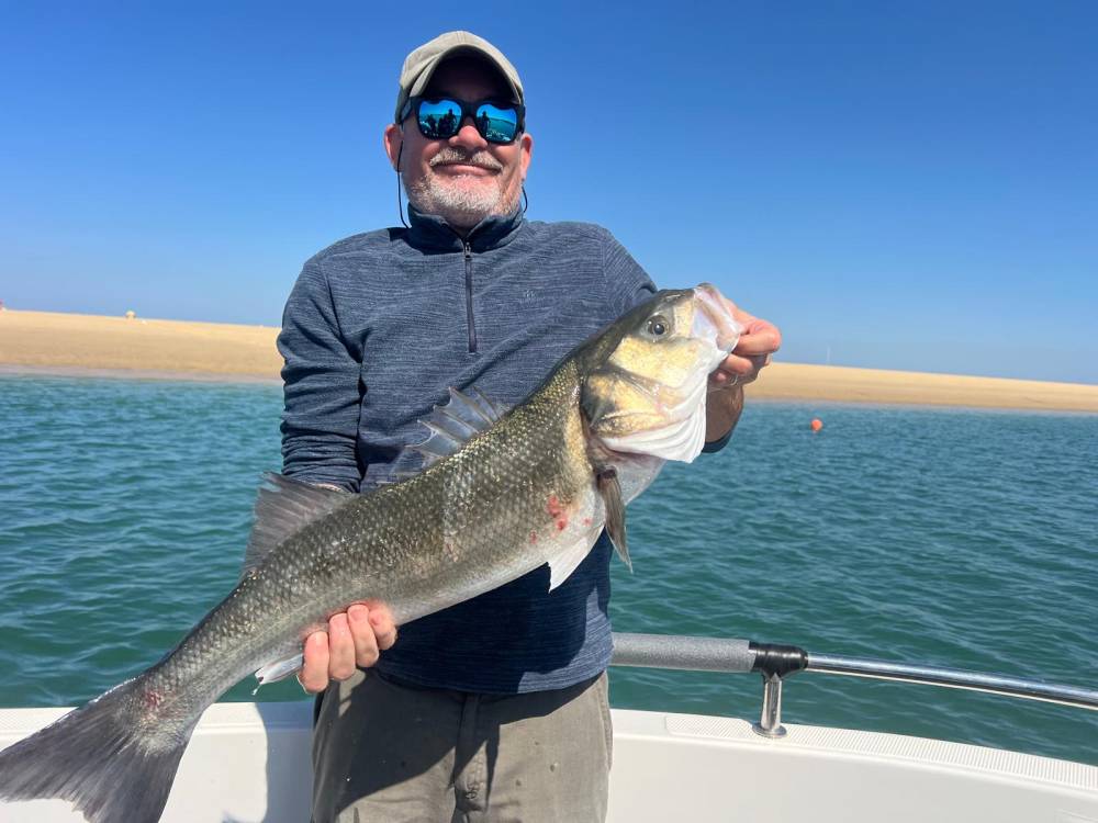 2f349ebf-0da6-4882-9f1e-85a24bcb2d12