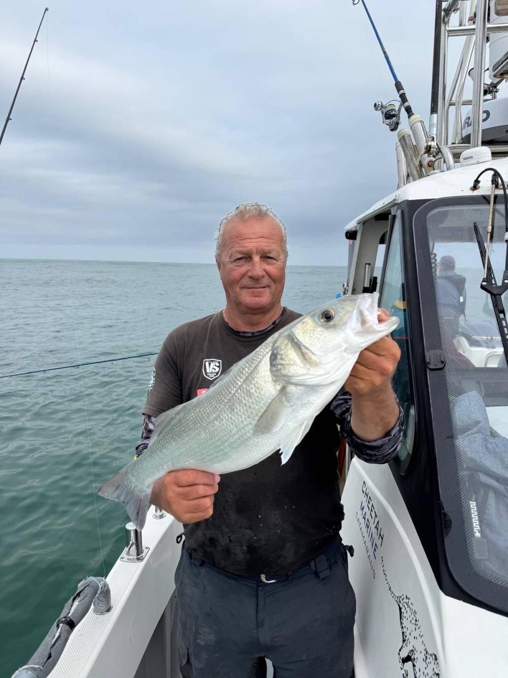 99e99468-1e43-4d97-acc3-85f9273ce2e6 2