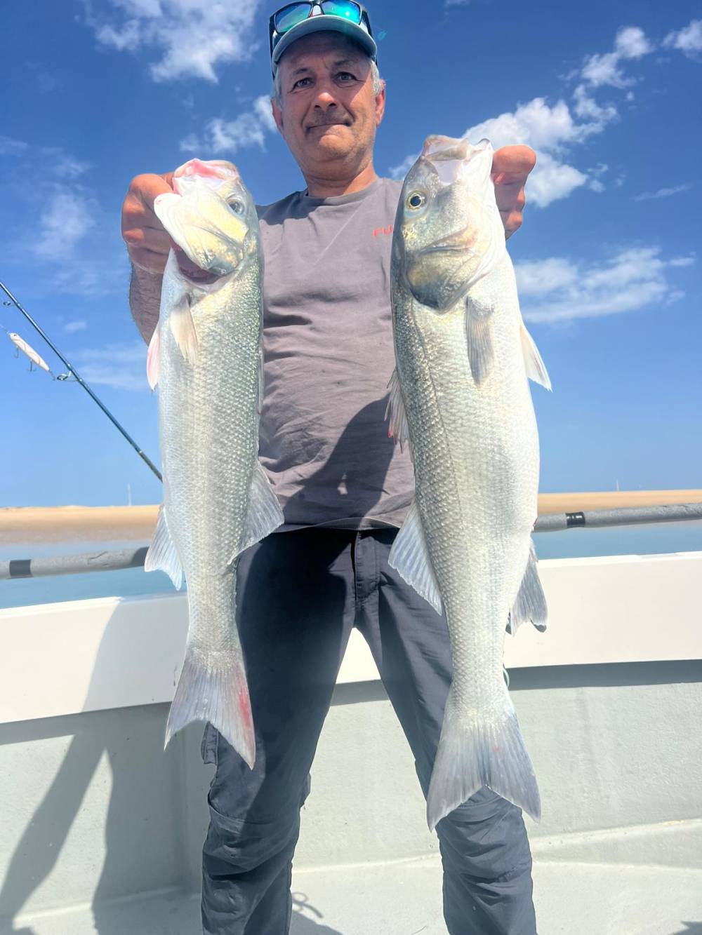 4505d86c-9f05-416d-9814-f179a613a8b4 2