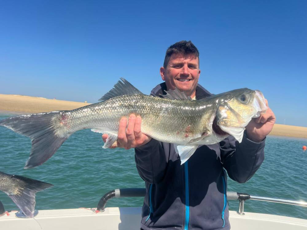 a81ab63d-b737-4a18-8b80-bce47bf97b3e