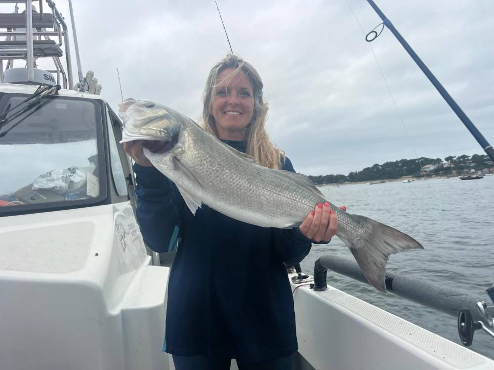 de95d791-34db-4b76-aee5-c88980c1f817 2