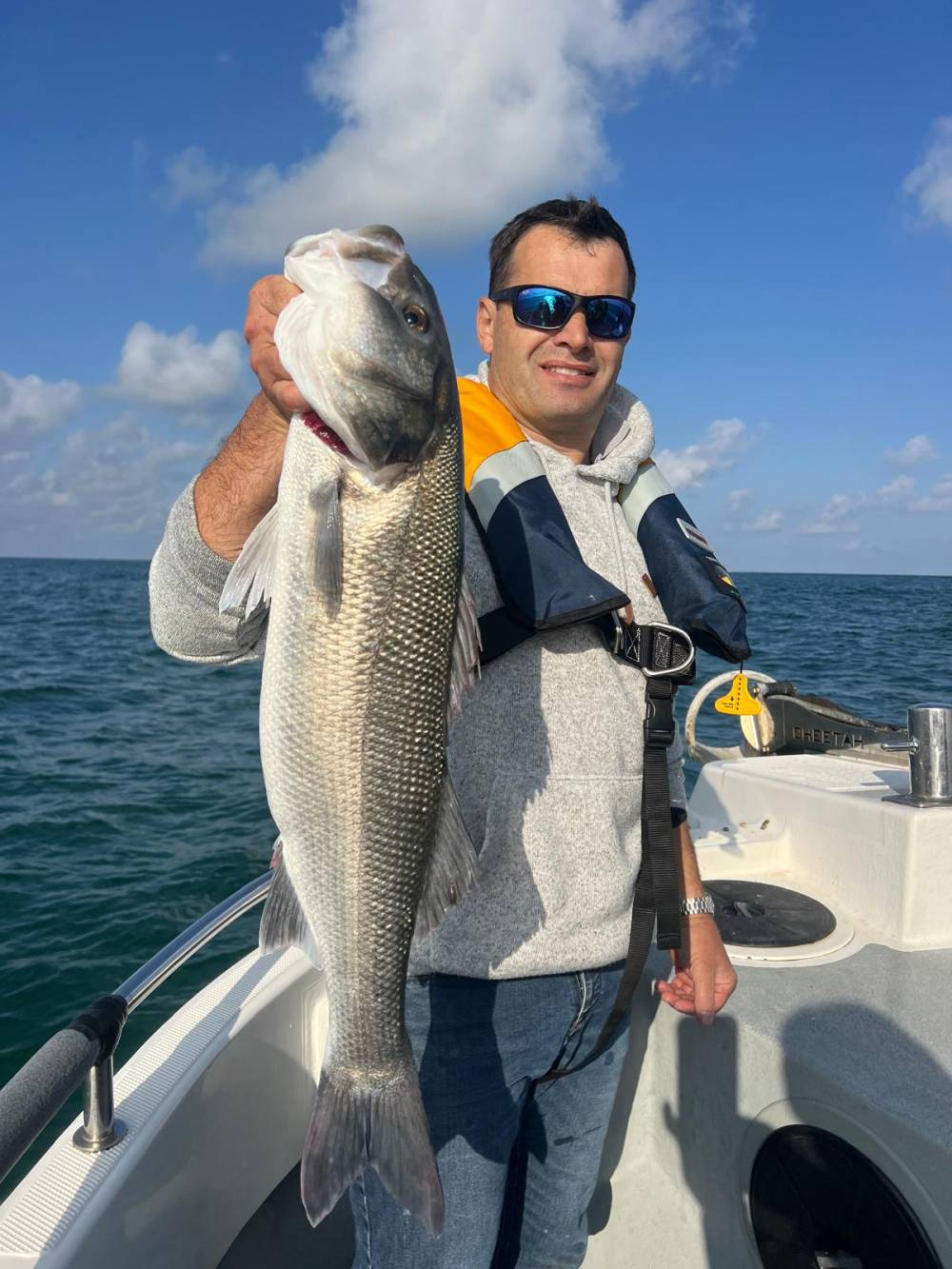 e629c7da-ba05-46cb-82b5-5ab4c877ddd4